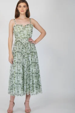 Dane Green Corset Midi Dress