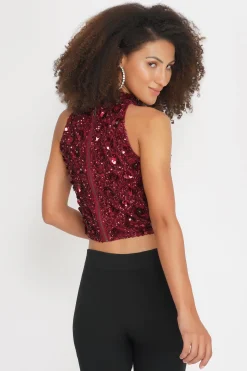 Gui Burgundy Sequin Top