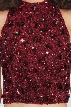 Gui Burgundy Sequin Top