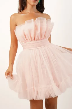 Nanita Tulle Mini Dress In Blush Pink
