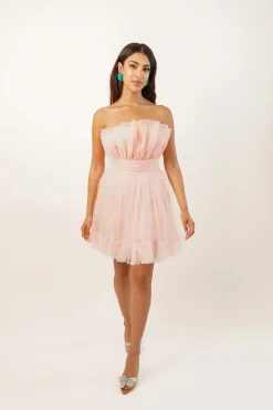 Nanita Tulle Mini Dress In Blush Pink