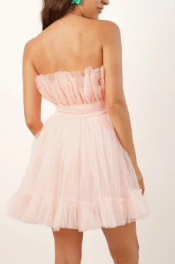 Nanita Tulle Mini Dress In Blush Pink
