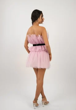 Nash Pink Tulle Mini Dress