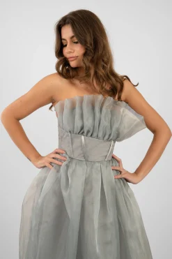 Noah Organza Midi Dress In Grey