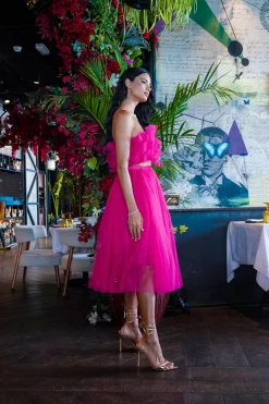 Nyra Tulle Skirt In Hot Pink