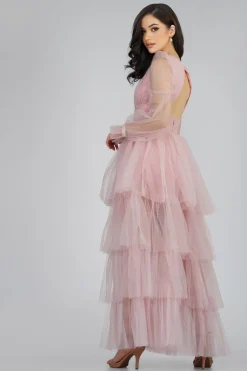 Salma Long Sleeve Tulle Maxi Dress In Pink
