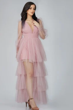 Salma Long Sleeve Tulle Maxi Dress In Pink