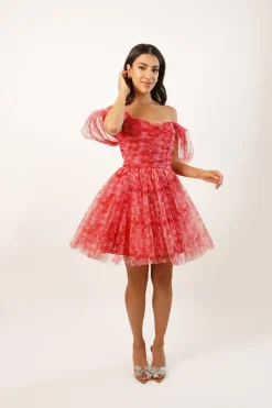 Sydney Red Printed Tulle Mini Dress