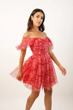 Sydney Red Printed Tulle Mini Dress